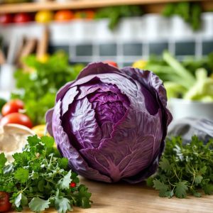 Supplier Dapur MBG 24 supplier sayuran segar