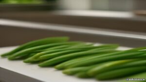 Supplier Dapur MBG 34 manfaat buncis segar untuk menu makan bergizi